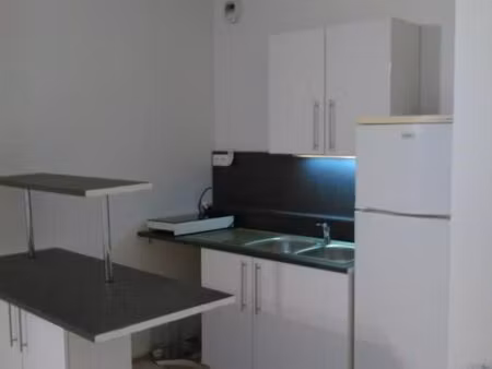 location appartement 1 pièce 29 m² à lille (59000)
