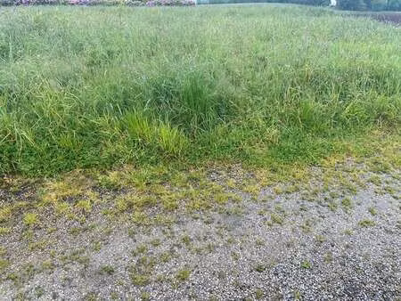 vente terrain à plogonnec (29180) : à vendre / plogonnec