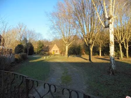 sarl alliances immobilieres