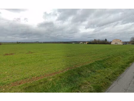 vente terrain liniers (86800)