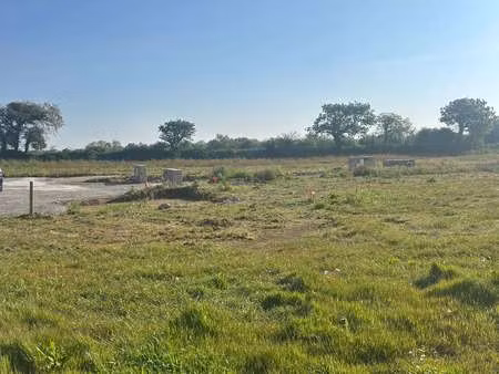 vente terrain à bourg-blanc (29860) : à vendre / bourg-blanc