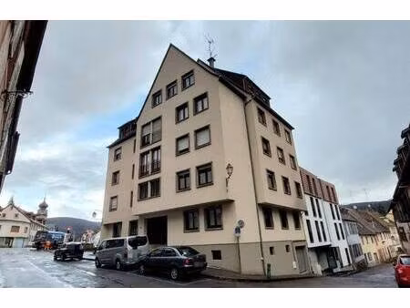 safti fernandes rui conseiller indépendant