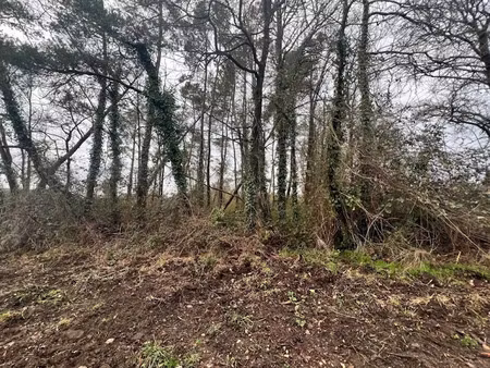 vente terrain 1613 m² à romorantin-lanthenay (41200), 23 500 €