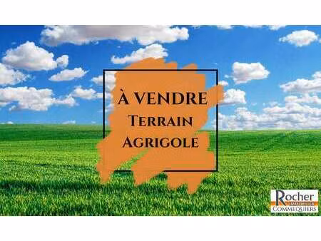 vente terrain à saint-paul-mont-penit (85670) : à vendre / 1097m² saint-paul-mont-penit