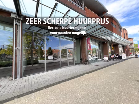 commercieel te huur in maaseik