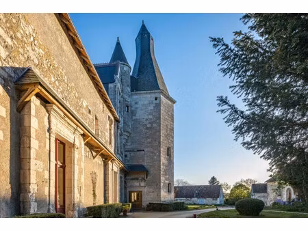 vente manoir 9 pièces