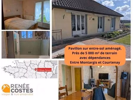 viager occupé - f79-h81 ans - chateau renard (45220)