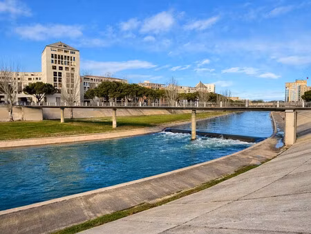 montpellier sud arbre blanc