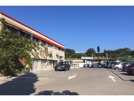 professionnel local commercial