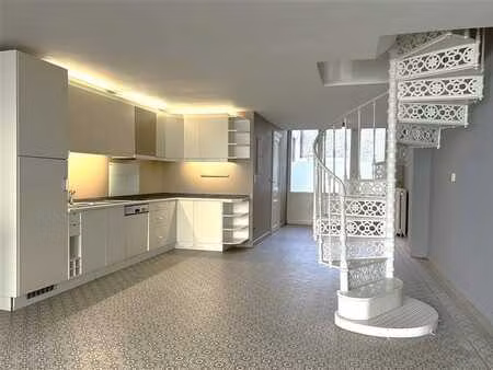 charmant appartement en duplex avec cour