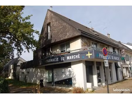 immeuble 215 m² thorigné-fouillard