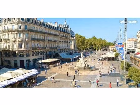 recherche t2 montpellier centre