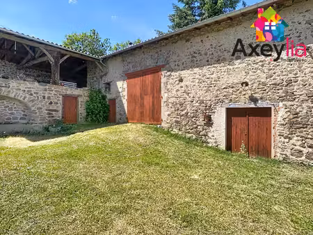 a vendre-st jean st maurice sur loire- propriété de caractère avec dépendances sur 9 276 m