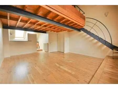 appartement duplex 1 chambre