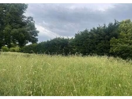terrain constructible viabilisé à vendre