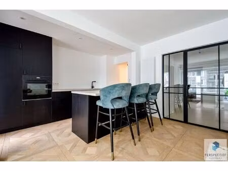 ruim lichtrijk gerenoveerd appartement aan het leopold park