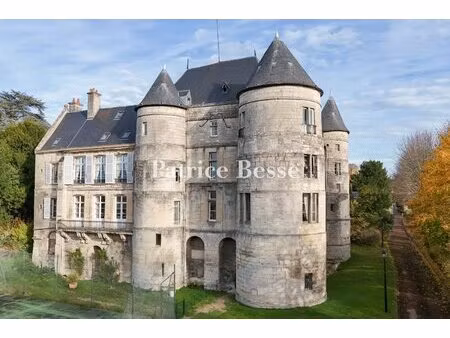 à une heure de paris, dans l'oise, un château du 13e s. avec activité de tourisme, de...