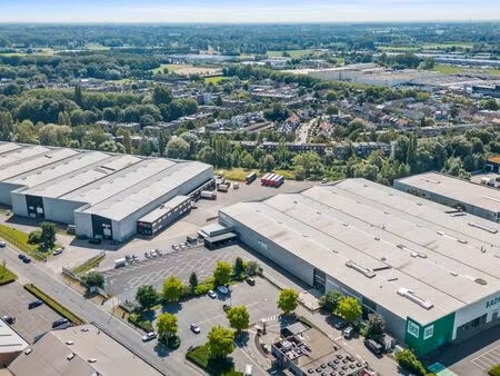 bien professionnel à louer à wilrijk € 17.622 (lmgnd) - panorama b2b antwerpen | zimmo