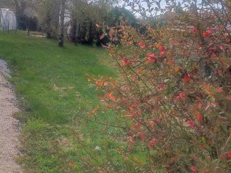 terrain constructible