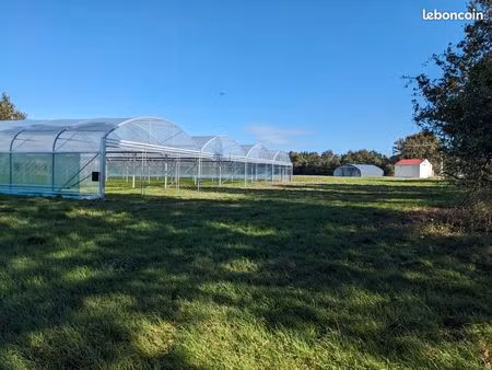 ferme maraîchère en ab à bellac