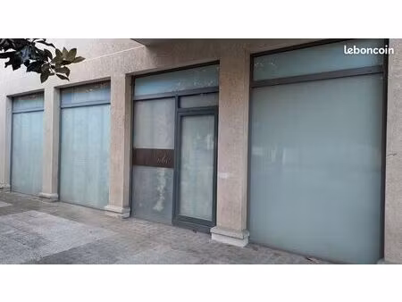 local commercial ou professionnel 69003-69100