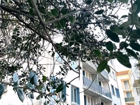 appartement à louer toulouse