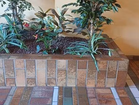 appartement à louer lyon