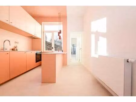 magnifique appartement coup de coeur - totalement renove