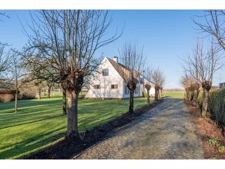 huis te koop in damme met 5 slaapkamers