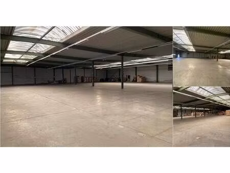 surface industrielle à louer à verkenmeerstraat 1 ternat (rbv55811)