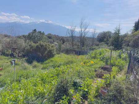 vente terrain 6640 m² à arboussols (66320), 14 500 €