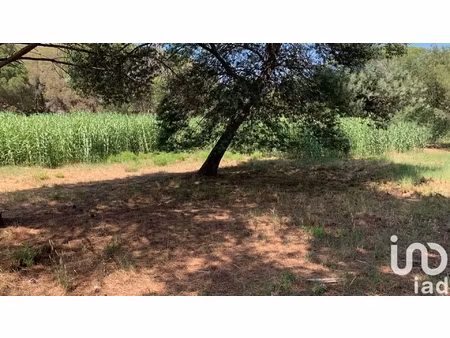 vente terrain 2 399 m²