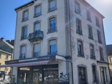 immeuble 19 pièces 238 m²