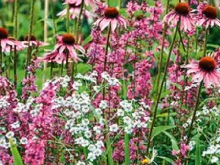 vente terrain 522 m² à azay-sur-cher (37270), 89 000 €