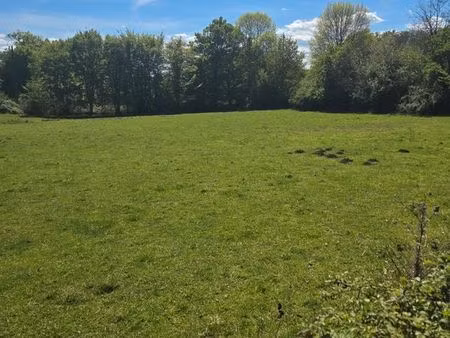 terrain constructible