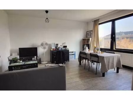 charmant appartement 1 chambre le long de la sambre