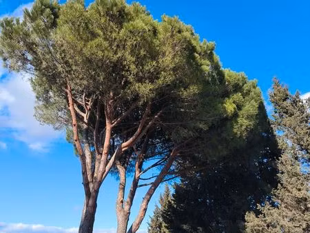 carcassonne montredon terrain 500m2