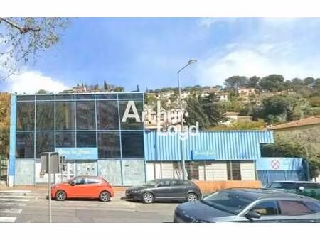 vente local d'activités 1 127 m²