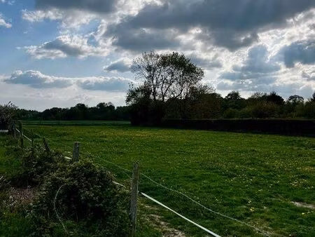 patûre pour chevaux