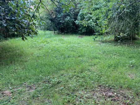 terrain bethemont la foret