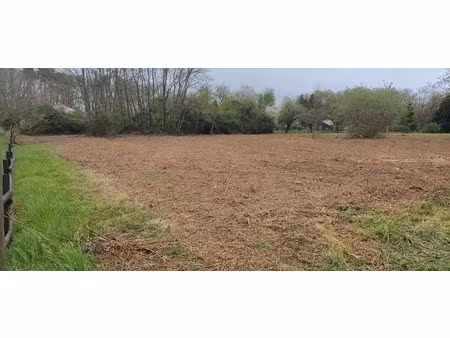 entre mouleydier et saint-capraise-de-lalinde beau terrain à bât