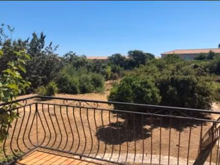 maison avec grand terrain