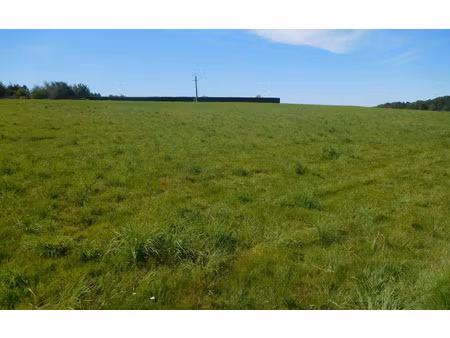 terrain saint-yrieix-la-perche m² t- à vendre, 19 000 €