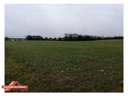 vente terrain à échiré (79410) : à vendre / échiré