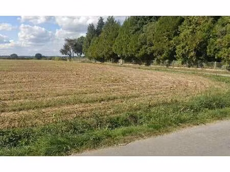 vente terrain à pleurtuit (35730) : à vendre / pleurtuit