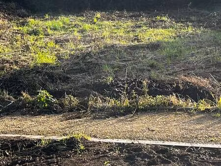 vente terrain à roscoff (29680) : à vendre / roscoff