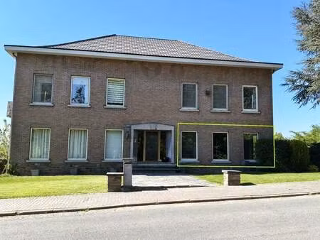 appartement à louer à tongeren € 890 (lnjaz) - leroi immobiliën | zimmo