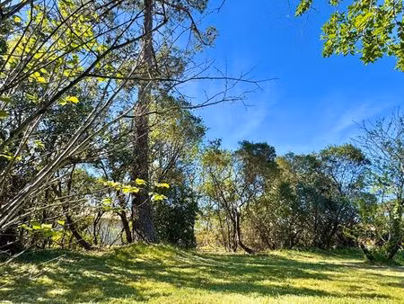 terrain cazaux 1000 m2