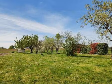 vente terrain à haute-goulaine (44115) : à vendre / haute-goulaine
