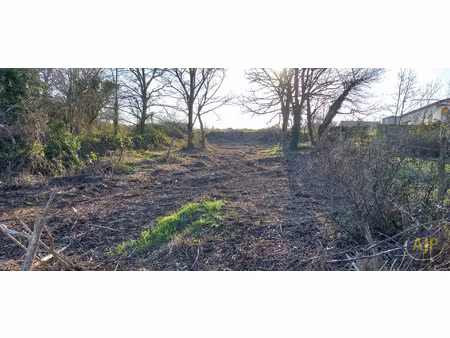 vente terrain 584 m² monnières (44690)